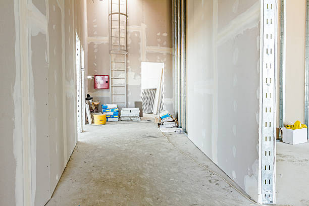 Best Drywall Removal and Disposal  in Williamsport, OH